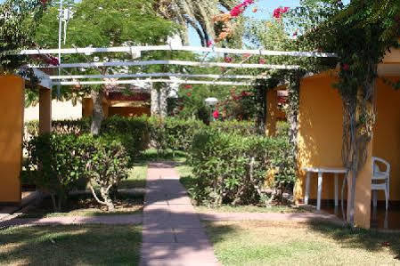 Bungalows Artemisa Gay Men Only Playa del Ingles  Exterior photo